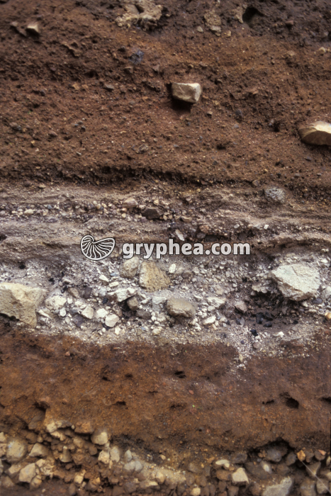 Trace nuée ardente Puy de Lemptégy - gryphea.com